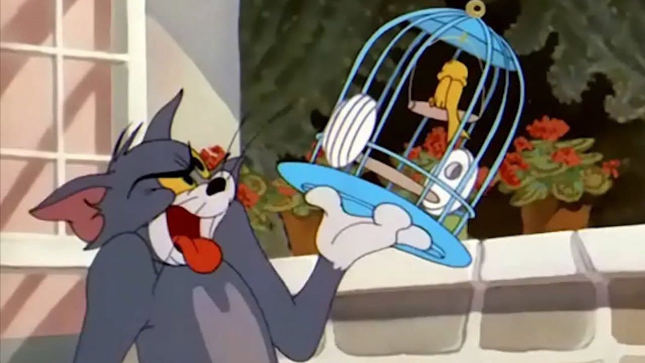O Gato Voador