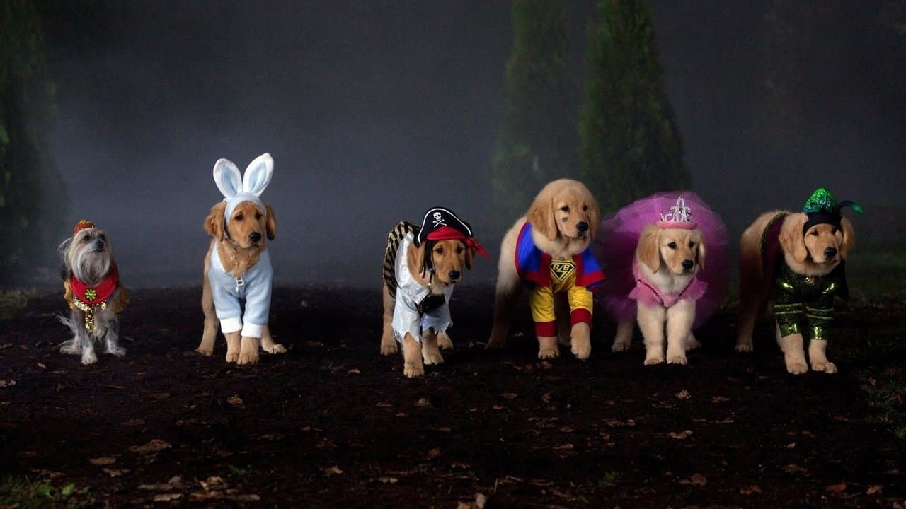 Spooky Buddies: A Casa Mal-Assombrada