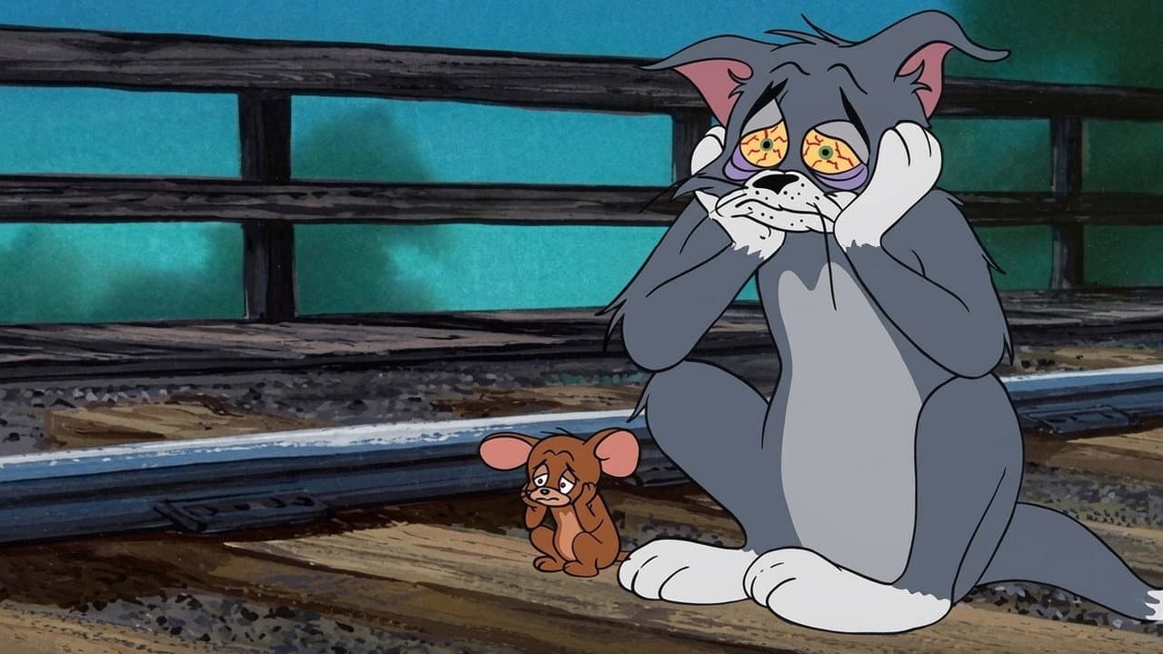 Gato Desiludido
