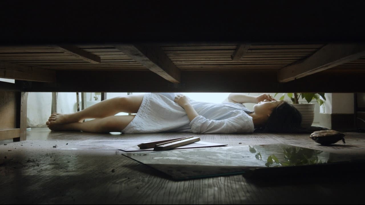 漫游