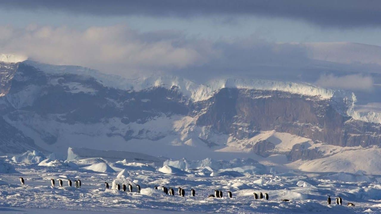 A Marcha dos Pinguins 2