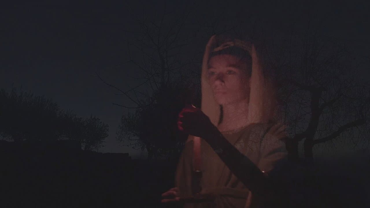A noite e o rei