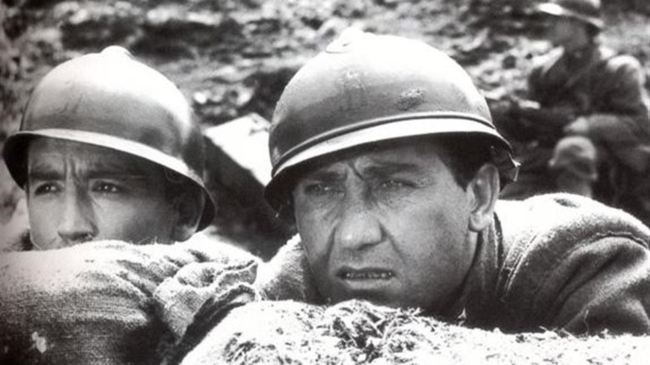 A Grande Guerra