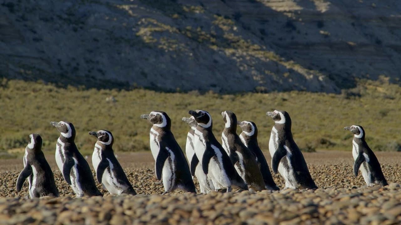 Patagônia Extraordinária