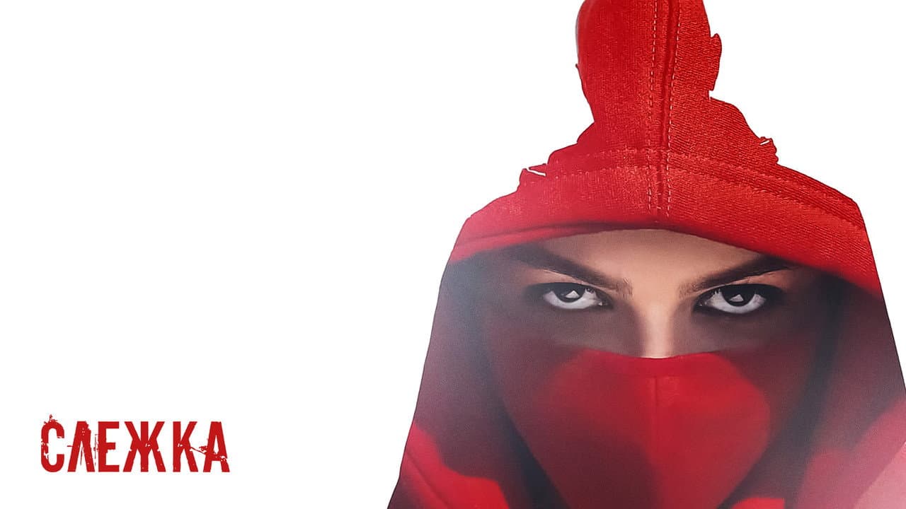 Слежка