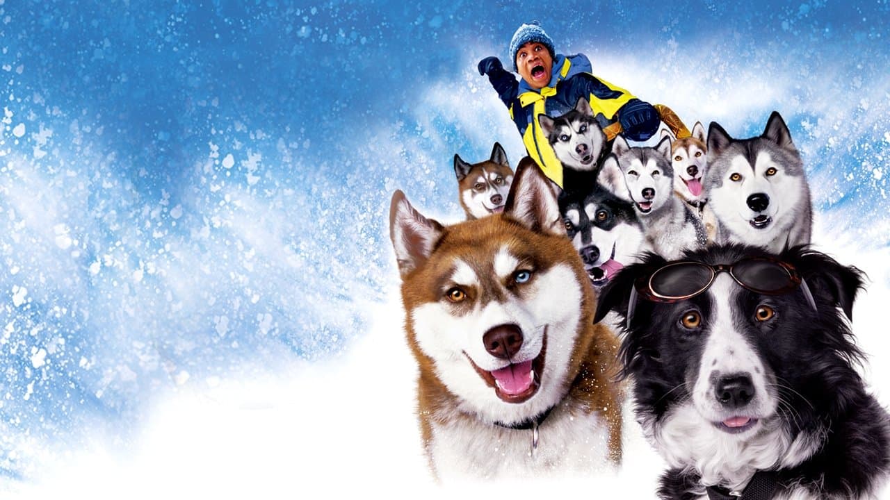 Neve pra Cachorro