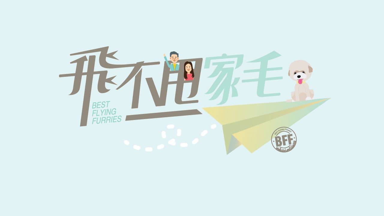 飛不甩家毛
