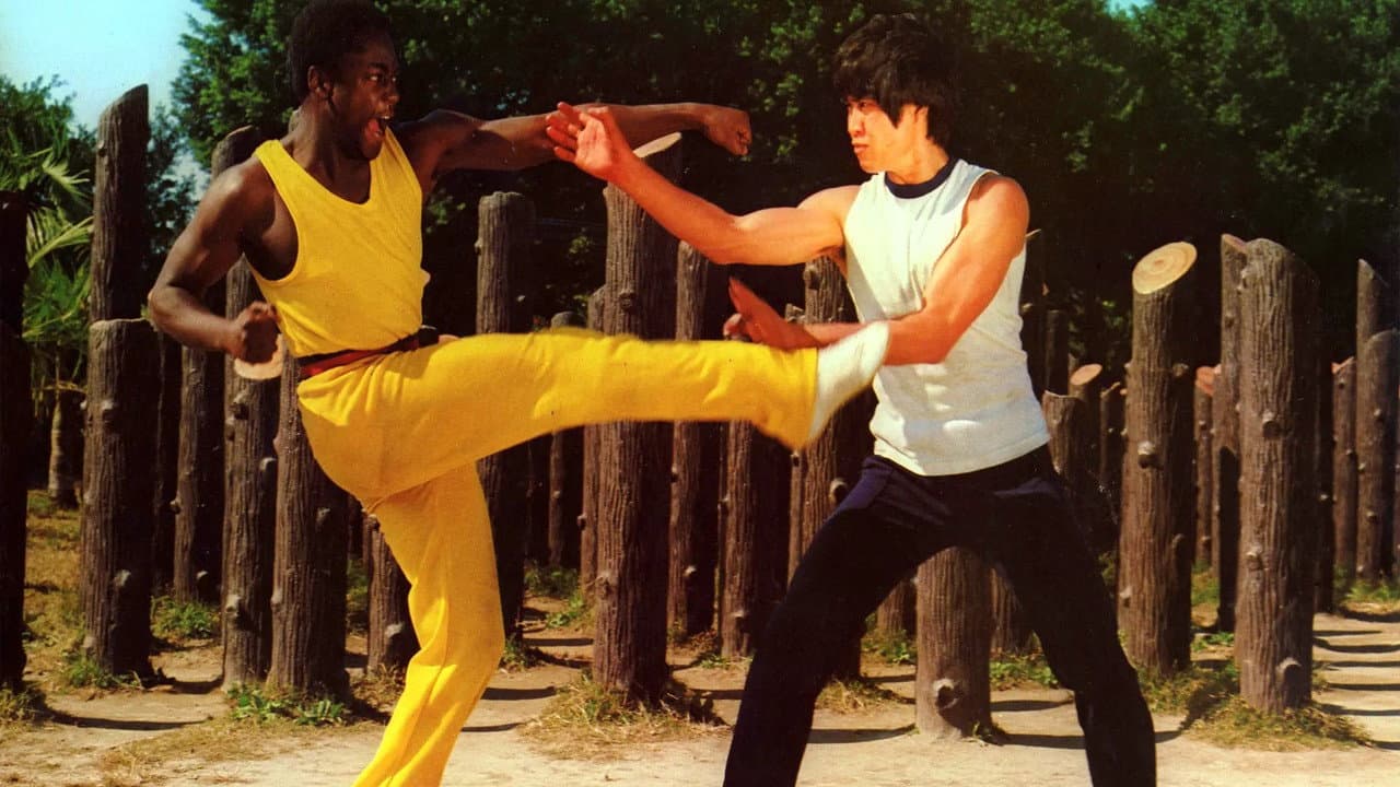 O Carrasco do Kung Fu
