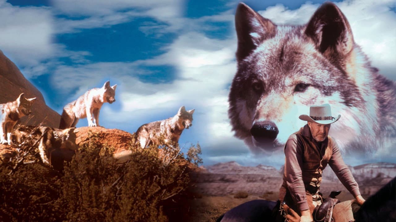 A Montanha do Lobo Solitário