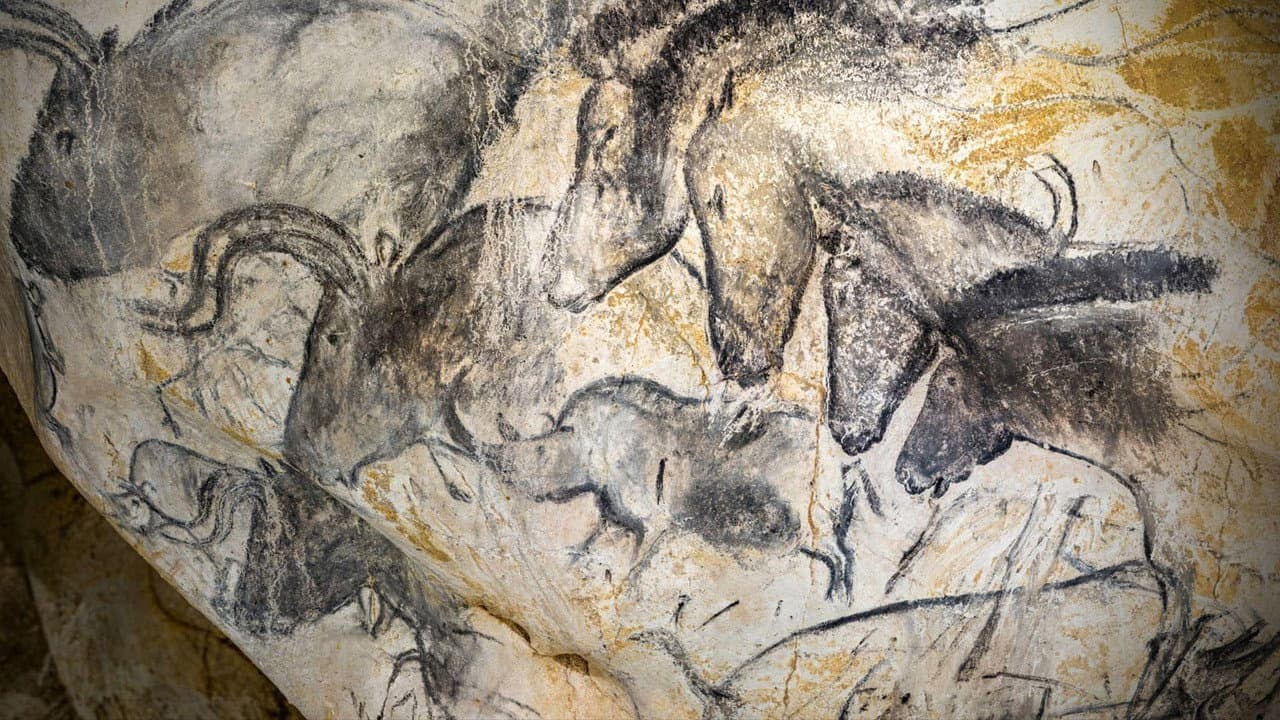 Grotte Chauvet - Dans les pas des artistes de la Préhistoire