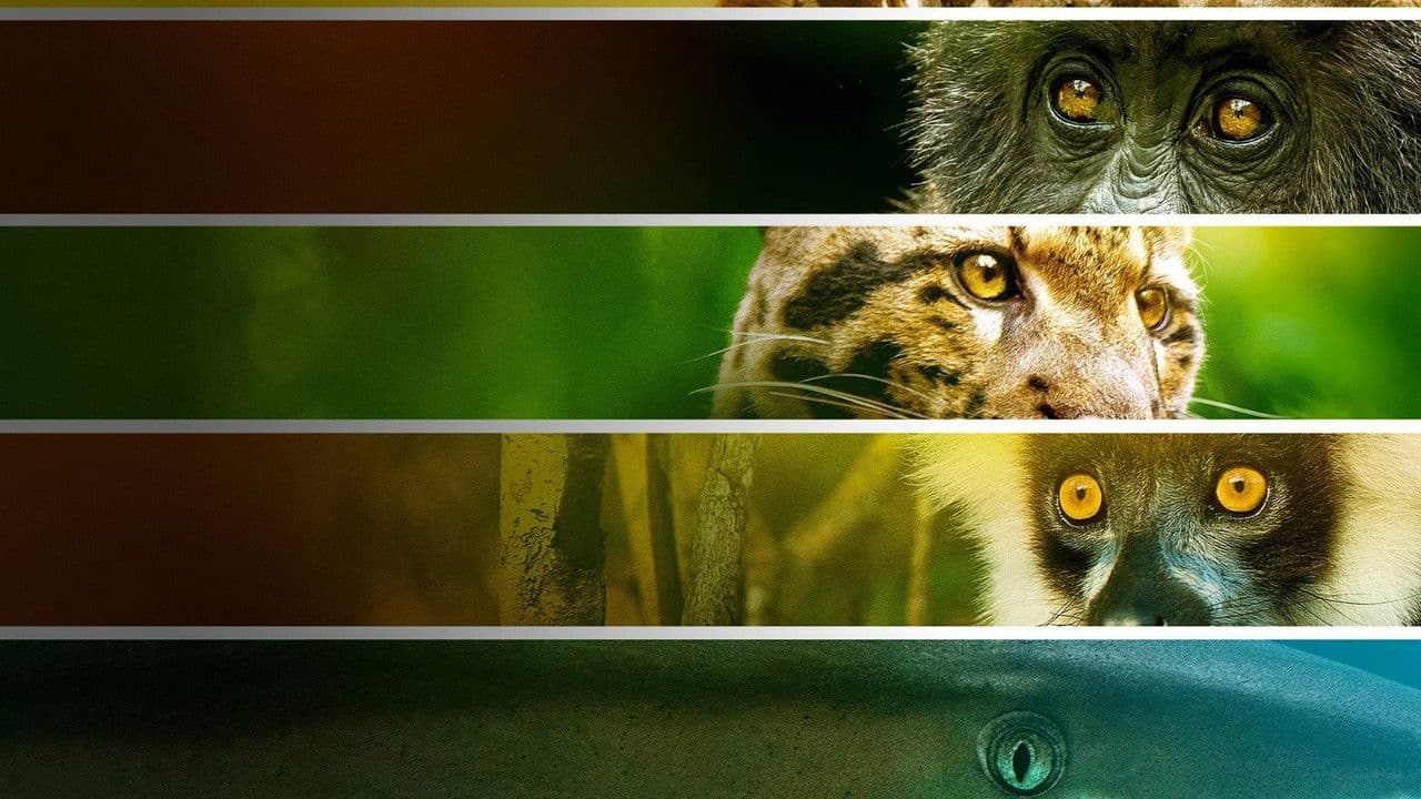 Luta Contra a Extinção