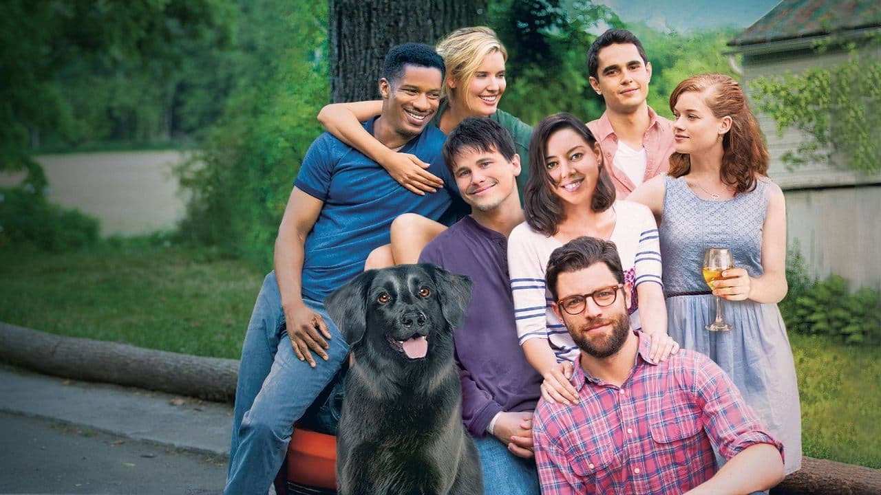 Amigos Para a Vida