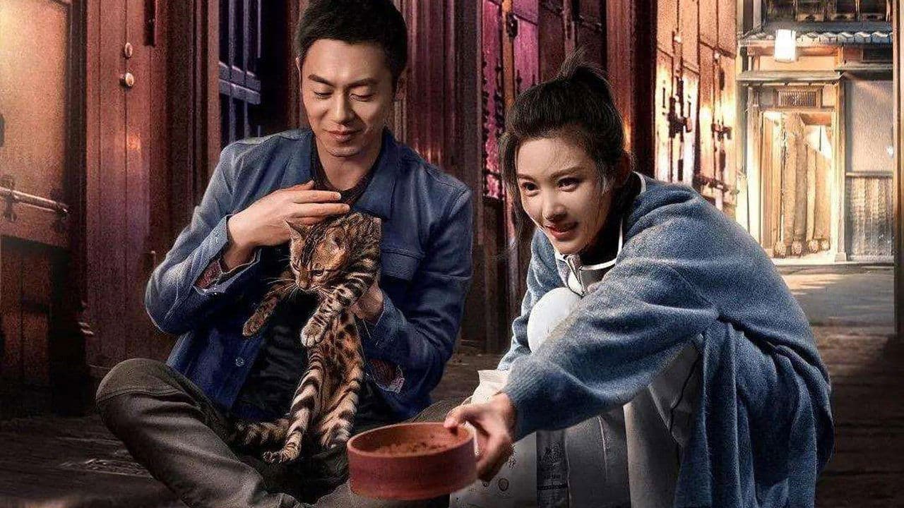 赖猫的狮子倒影