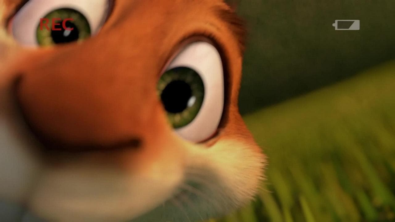 A Aventura de Hammy com o Bumerangue