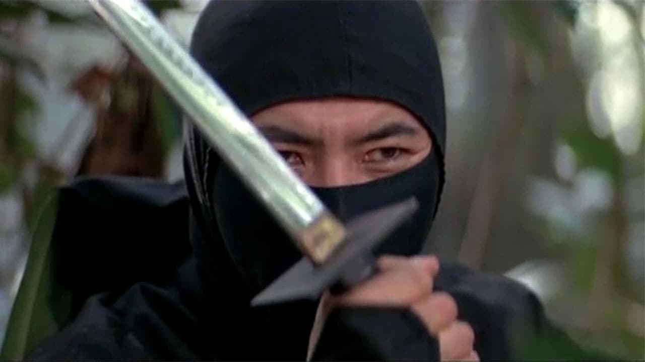 A Sombra de um Ninja
