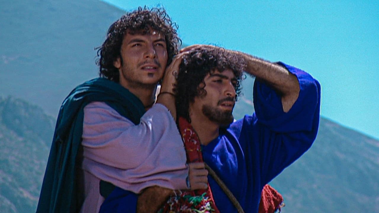 ربيع قرطبة