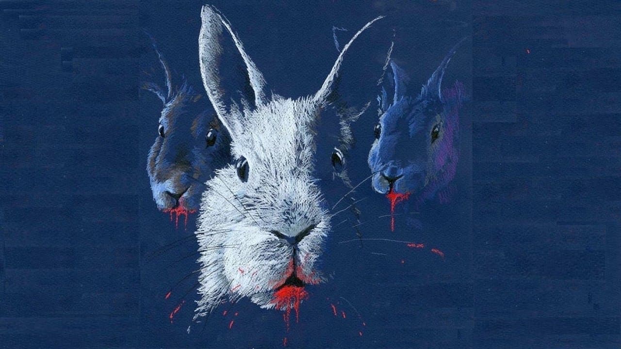 A Noite dos Coelhos