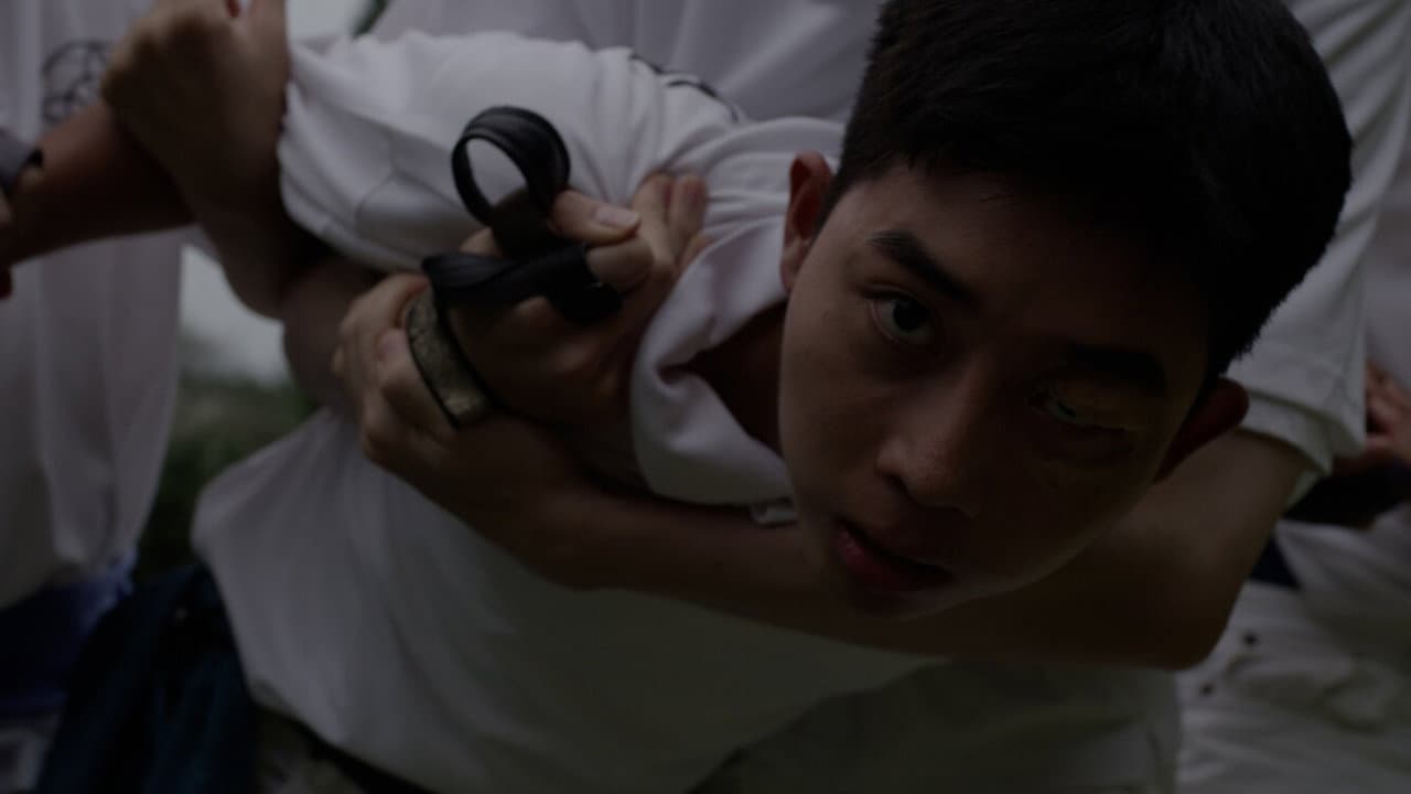 벌들의 비행