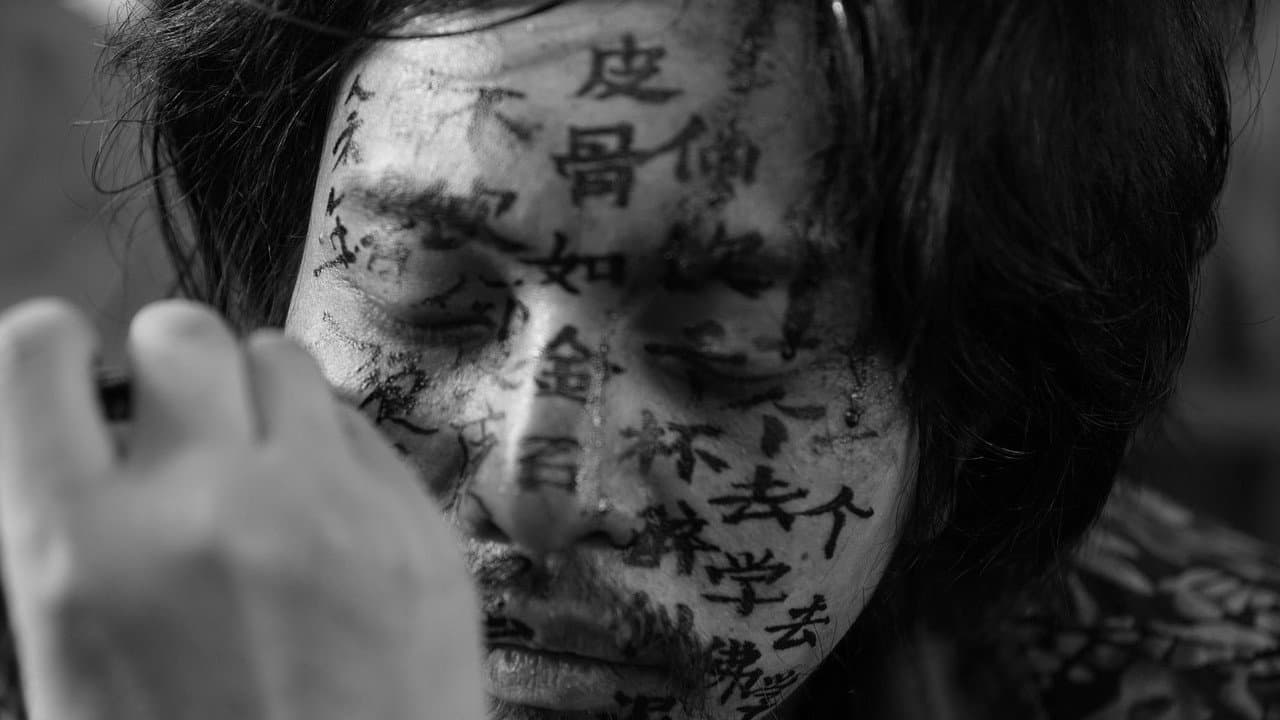 伤寒杂病论