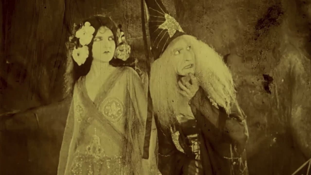 Folly of Vanity