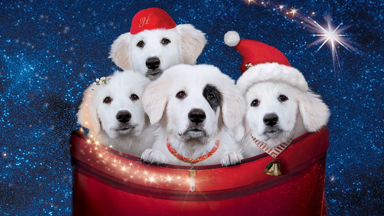 Os Filhotes da Mamãe Noel