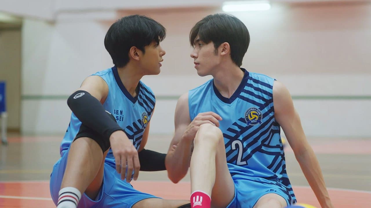 Twins The Series