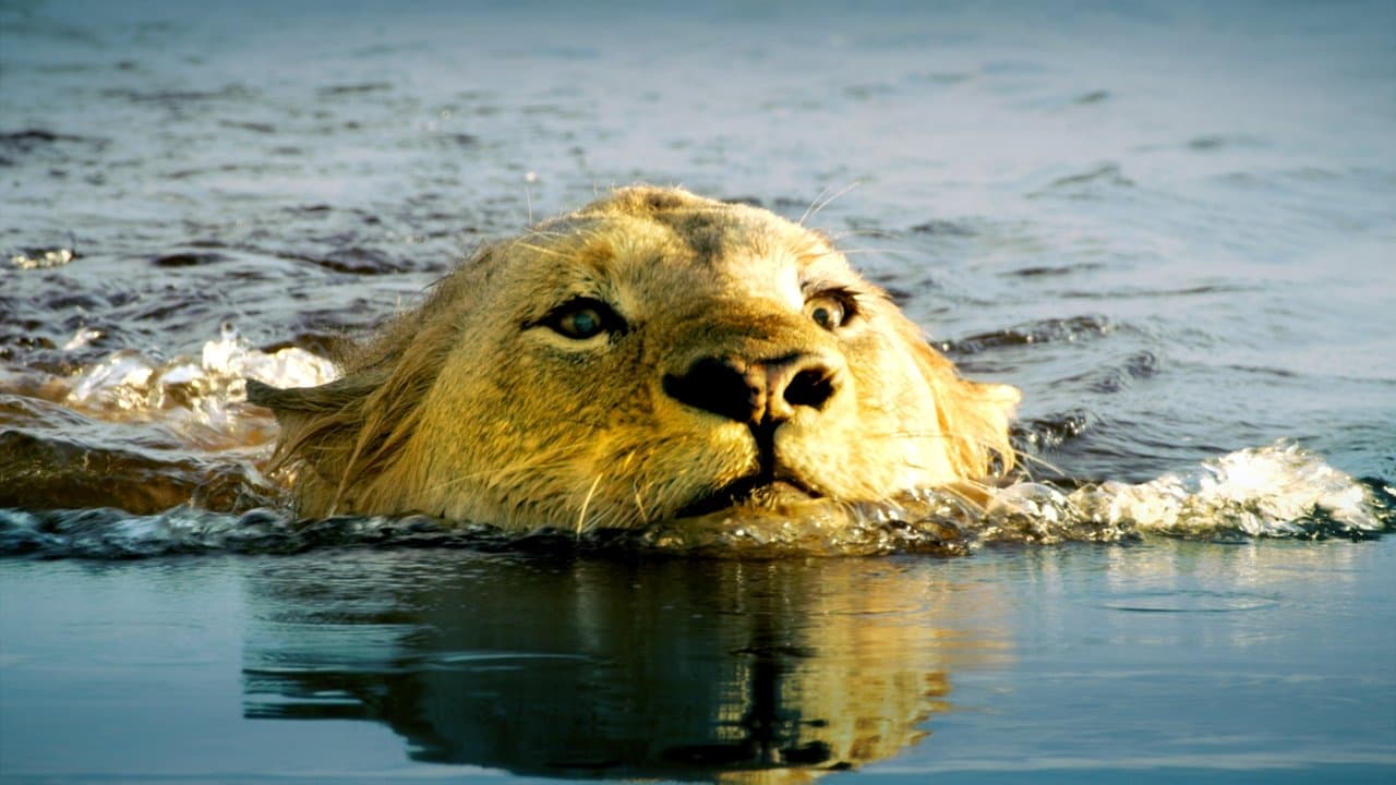 Delta do Okavango: Paraíso das Águas