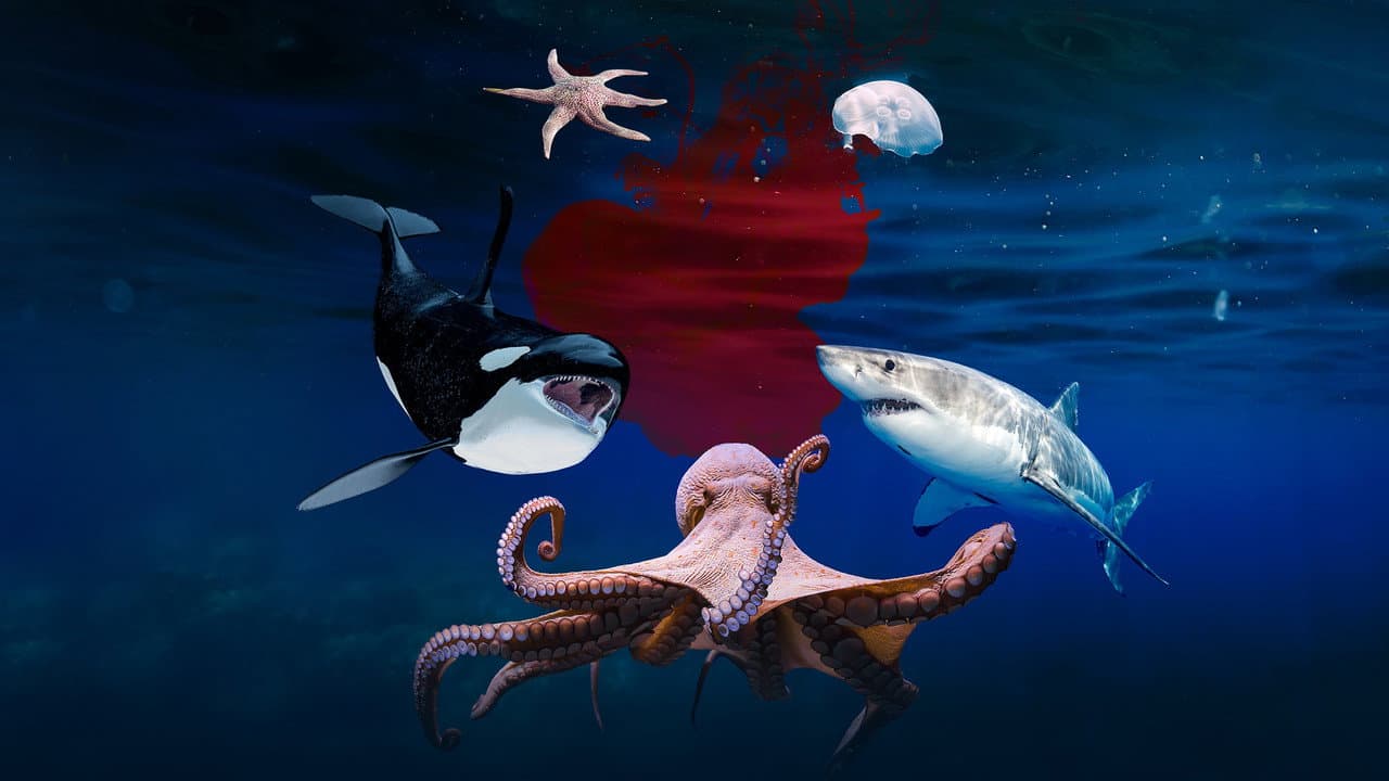 Assassinos do Oceano