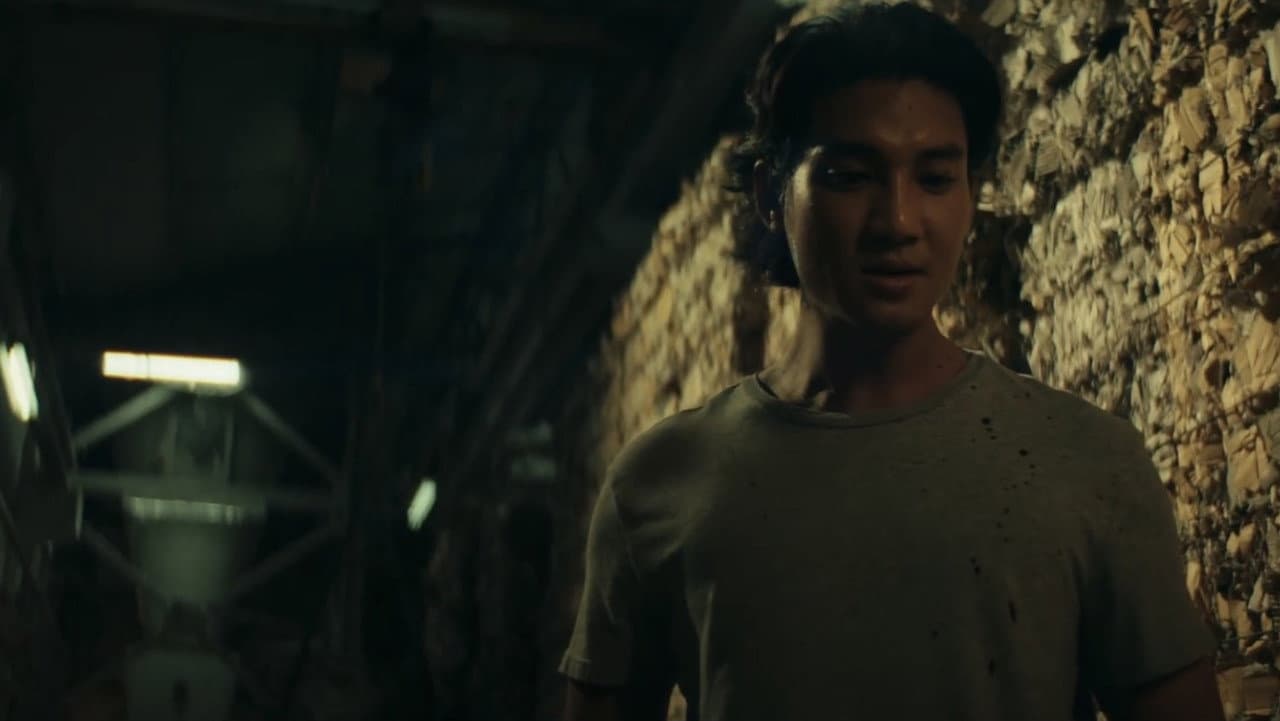 ในเงา