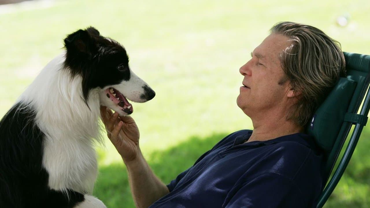 Um Ano do Cão