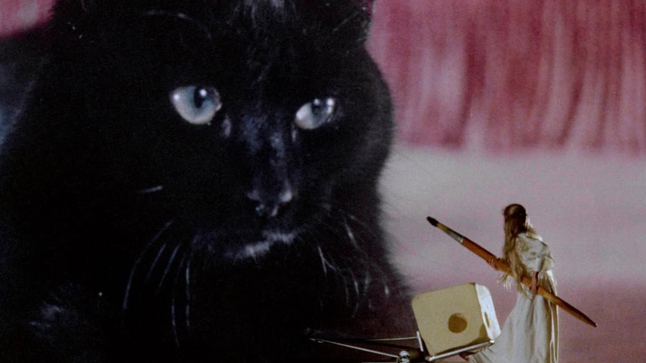 A Maldição dos Gatos