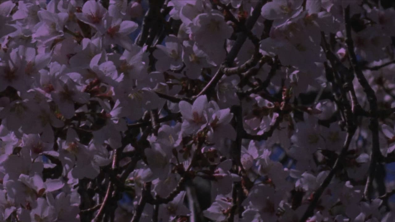 Spring Songs
