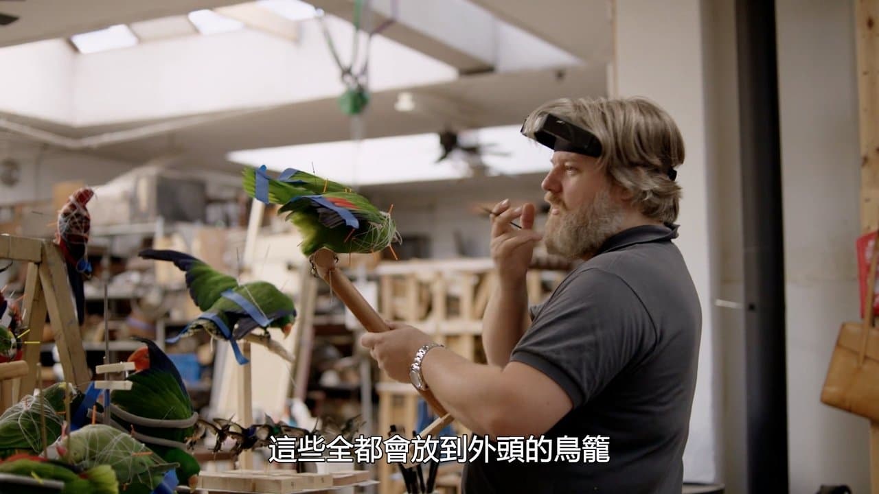 Stuffed: A Arte da Taxidermia