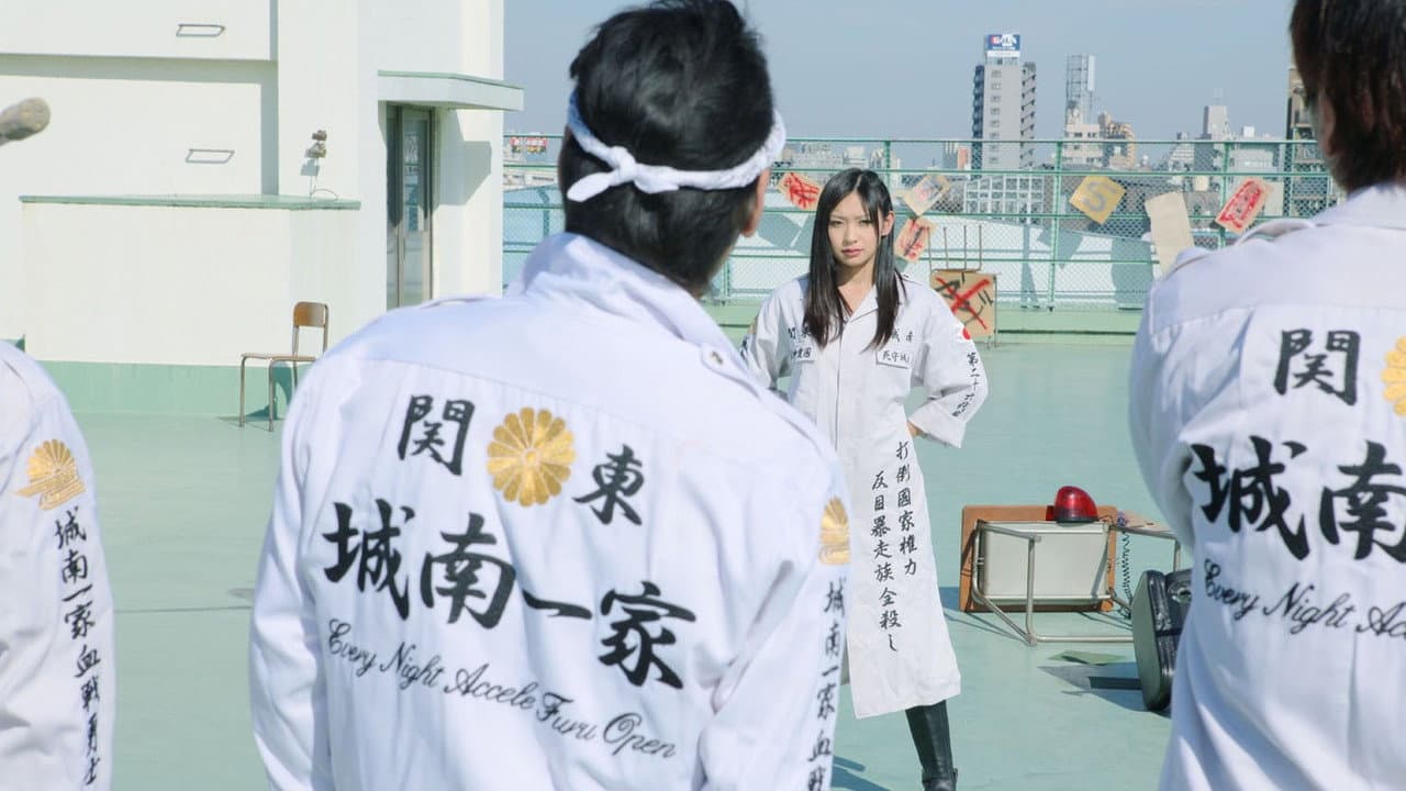 ヤンキー女子高生6 ～八王子最強伝説～