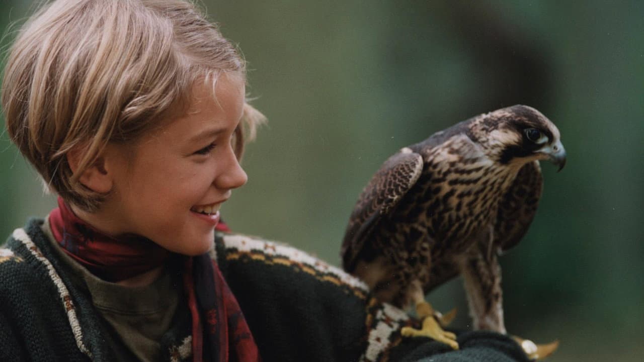 A Menina e o Falcão – As Aventuras de Katja