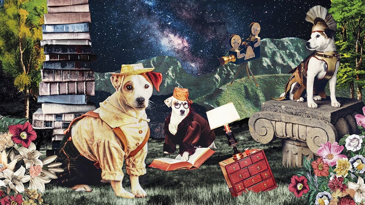 As Aventuras de Wishbone