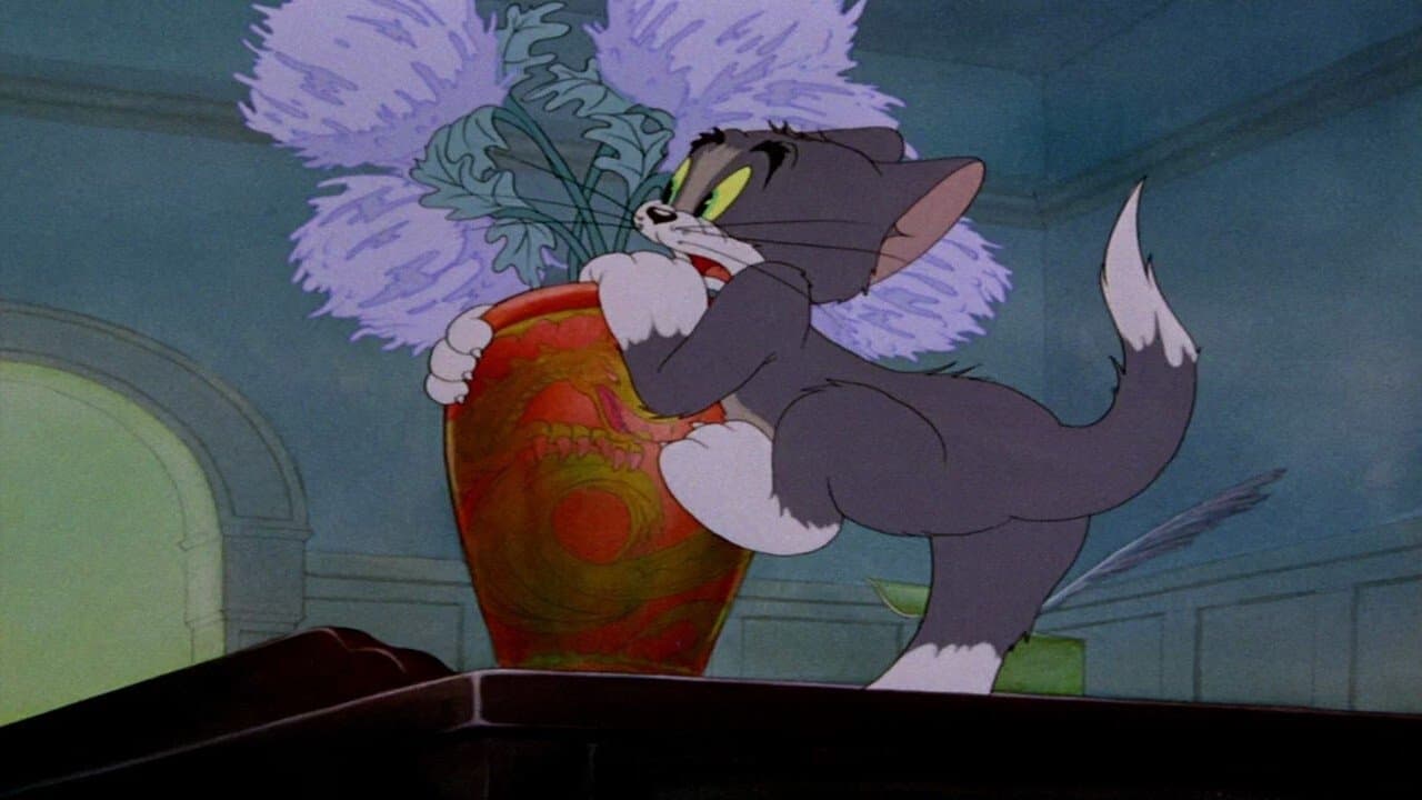 O Gato Medroso