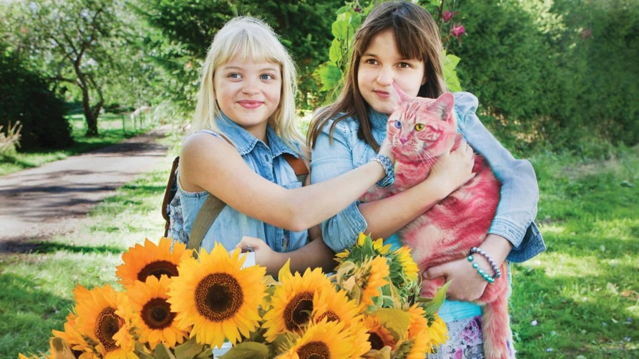 Jill e Joy e o Segredo do Orfanato