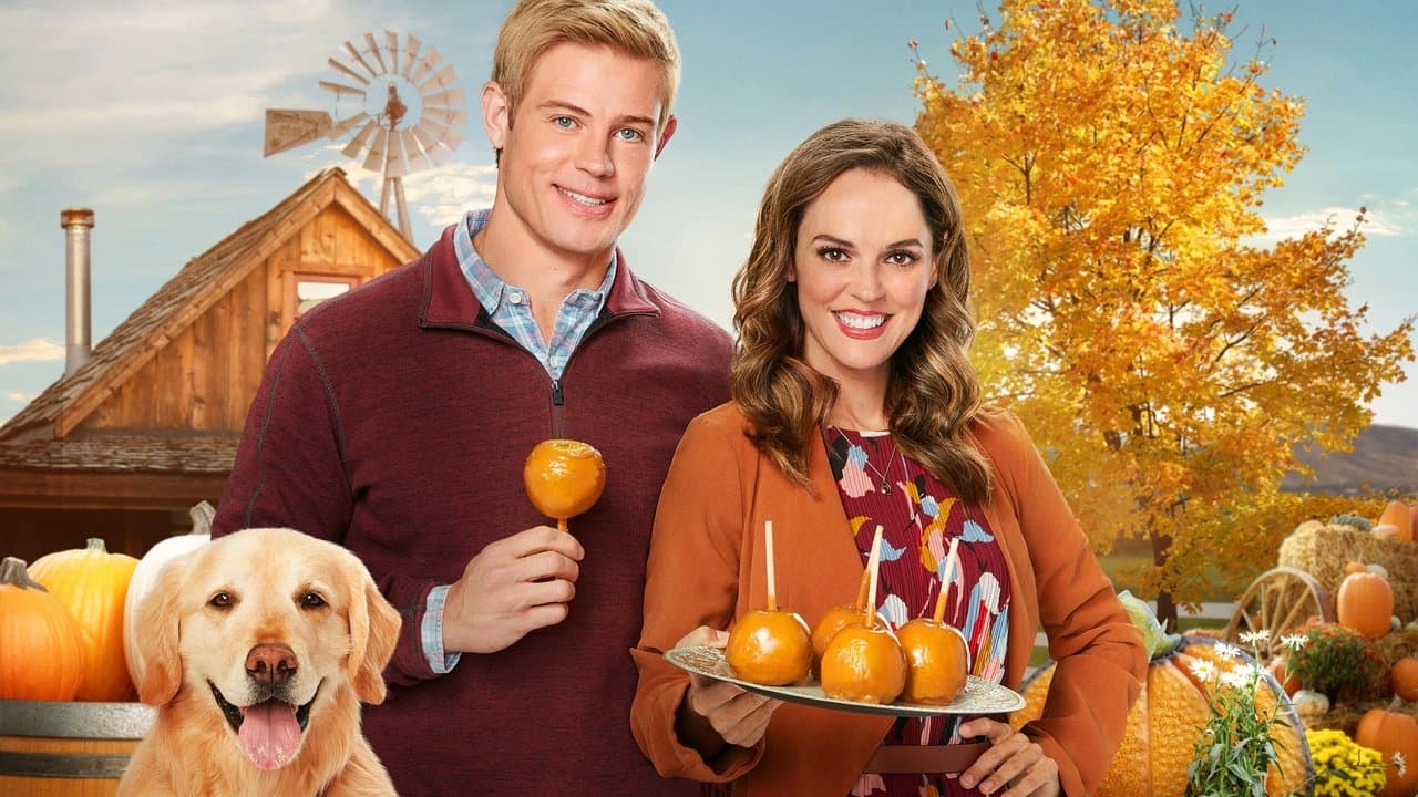 Outono: Love, Fall & Order