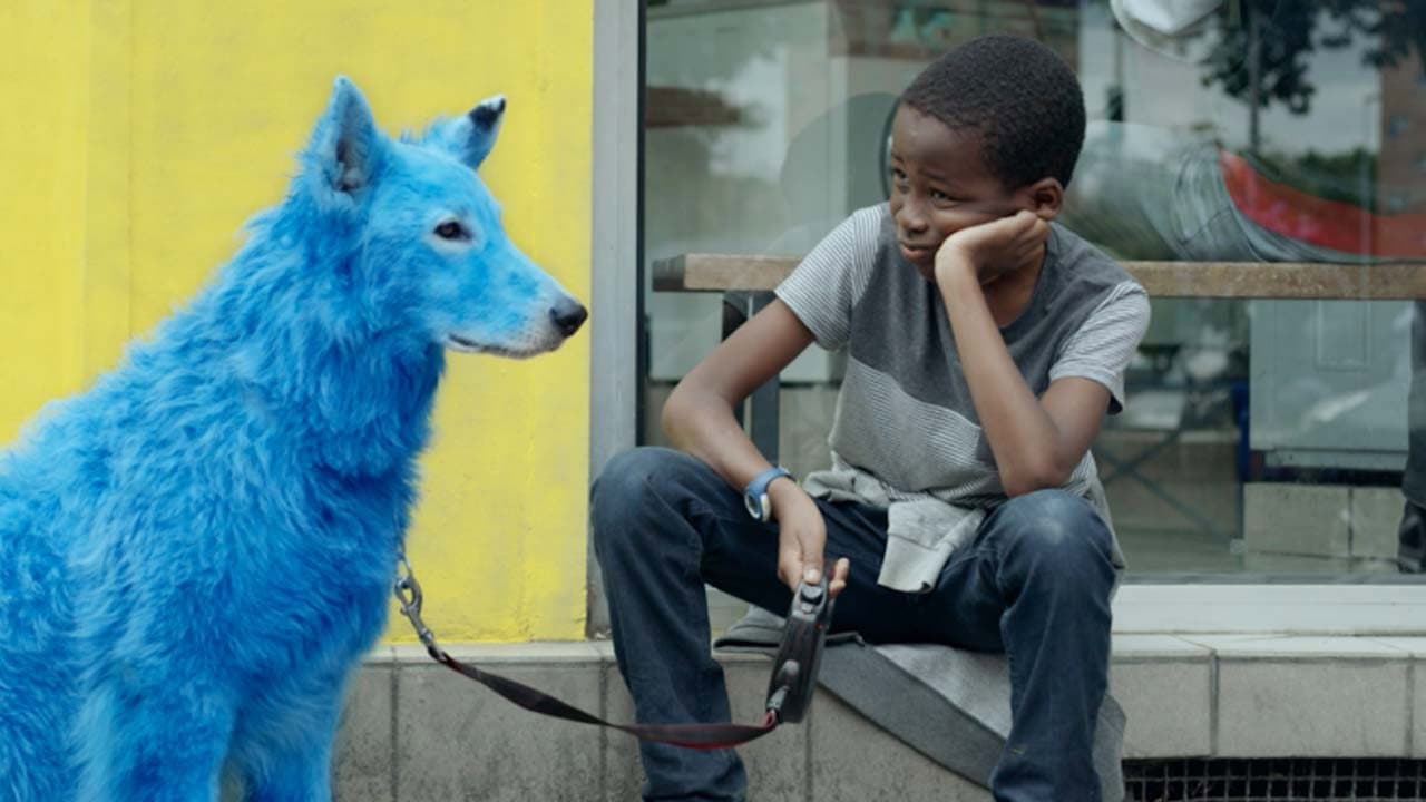 Cão Azul