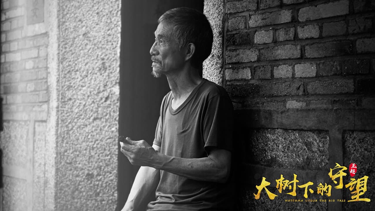 大树下的守望