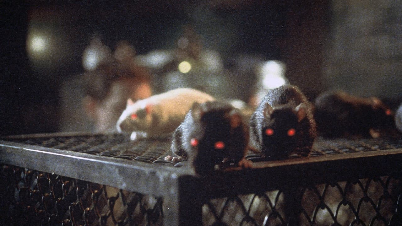 Ratos: A Noite do Terror