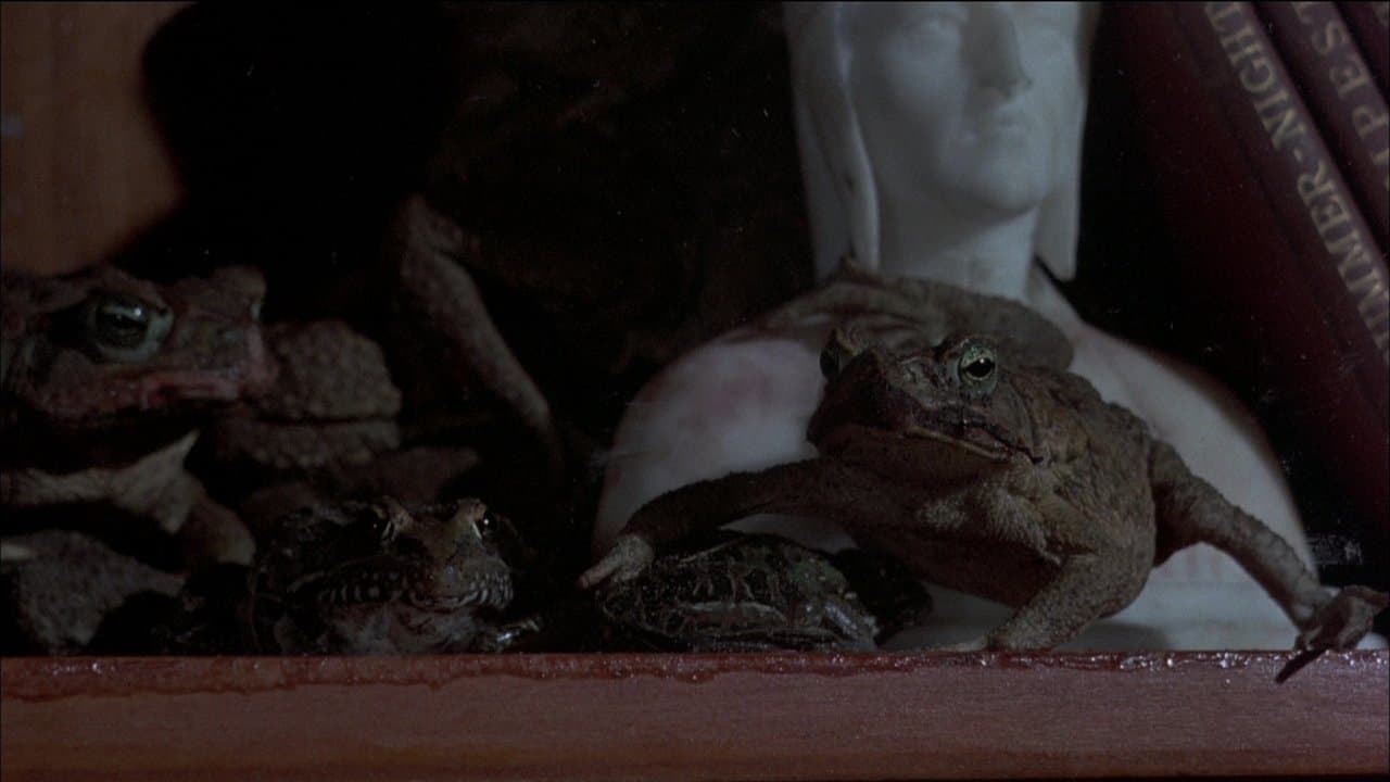 A Invasão das Rãs