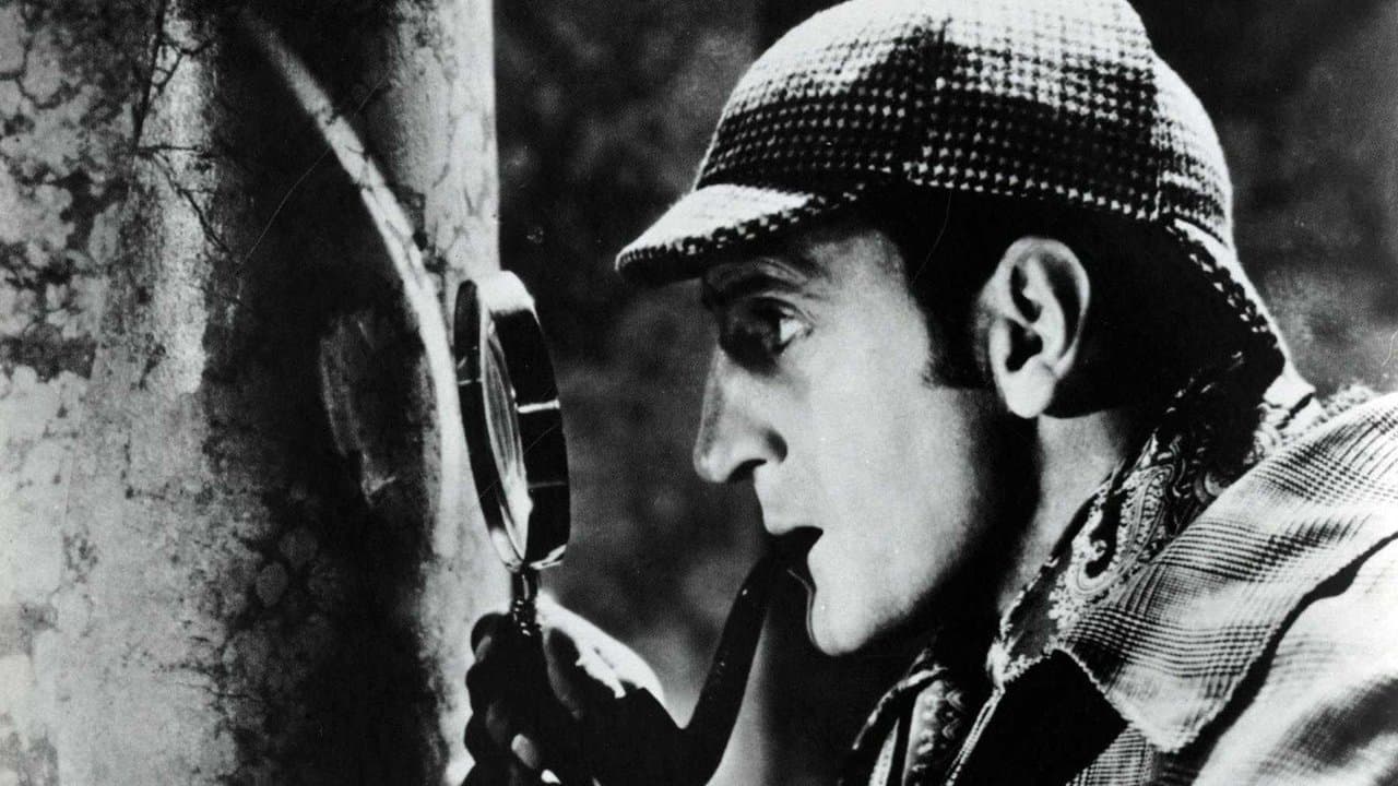 O Cão dos Baskervilles