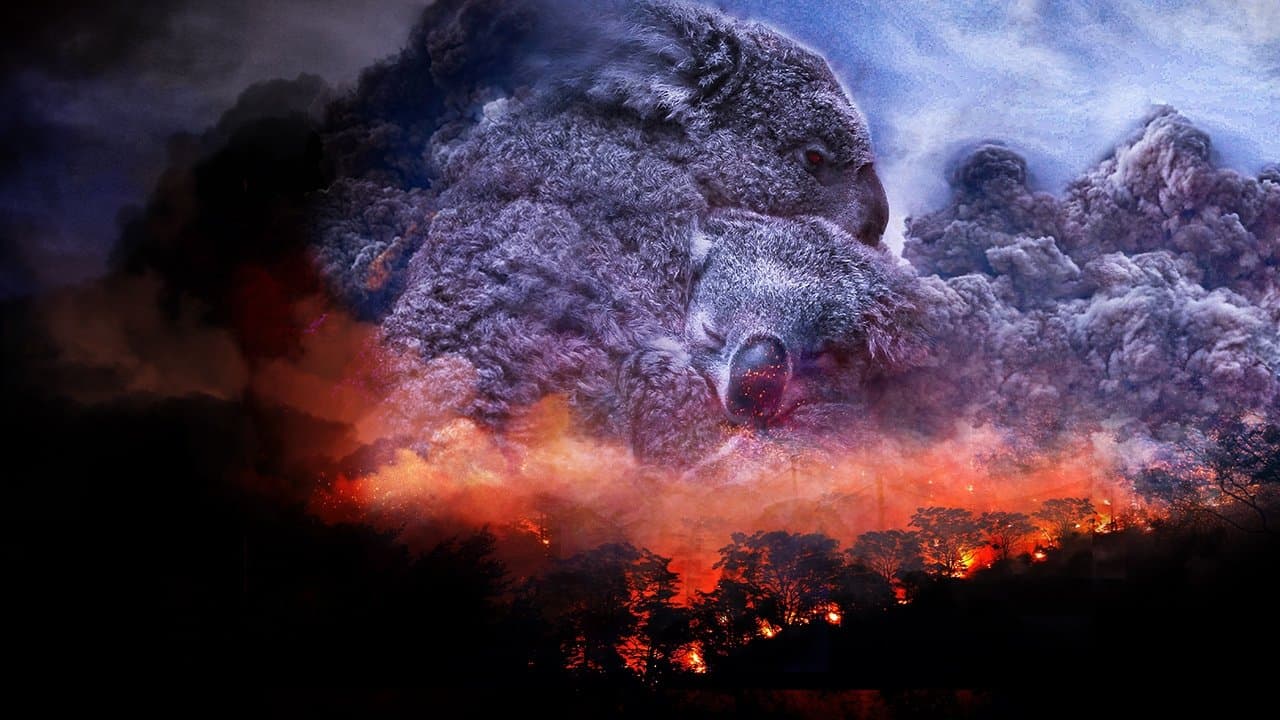 Depois dos Incêndios Florestais