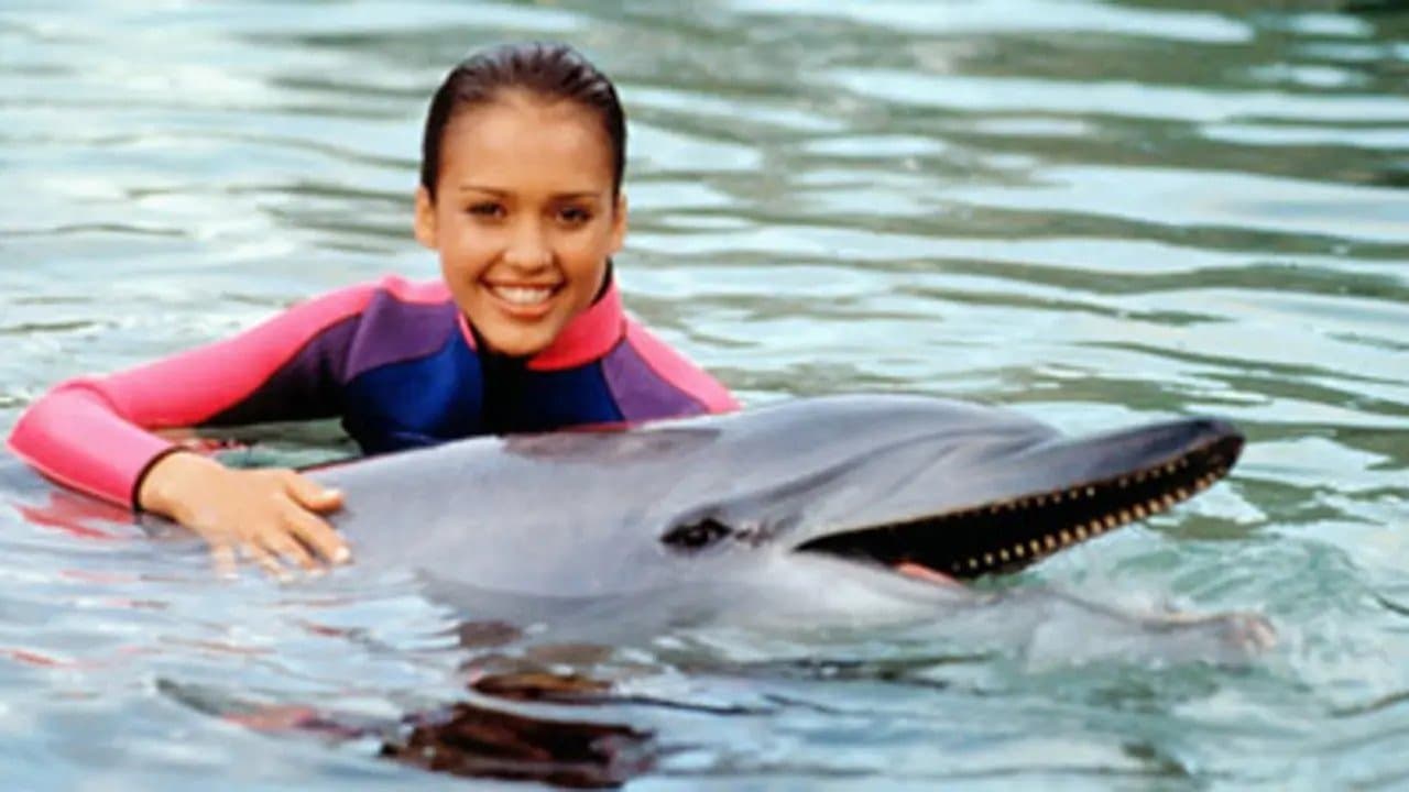 As Novas Aventuras de Flipper