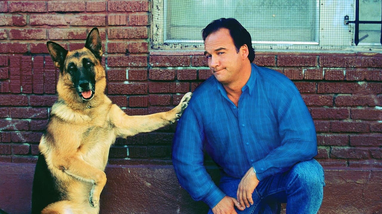 K-911: Um Policial Bom pra Cachorro 2