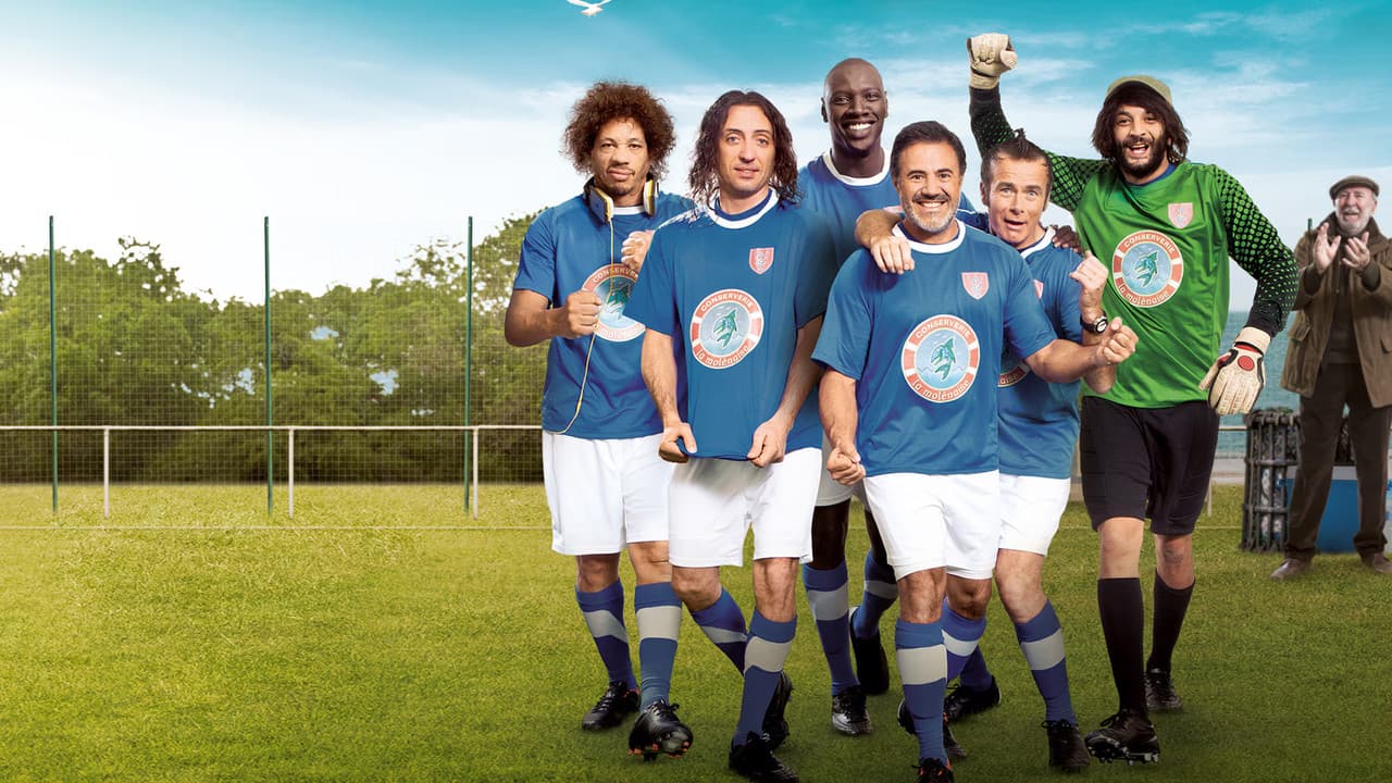 Uma Equipe de Sonho