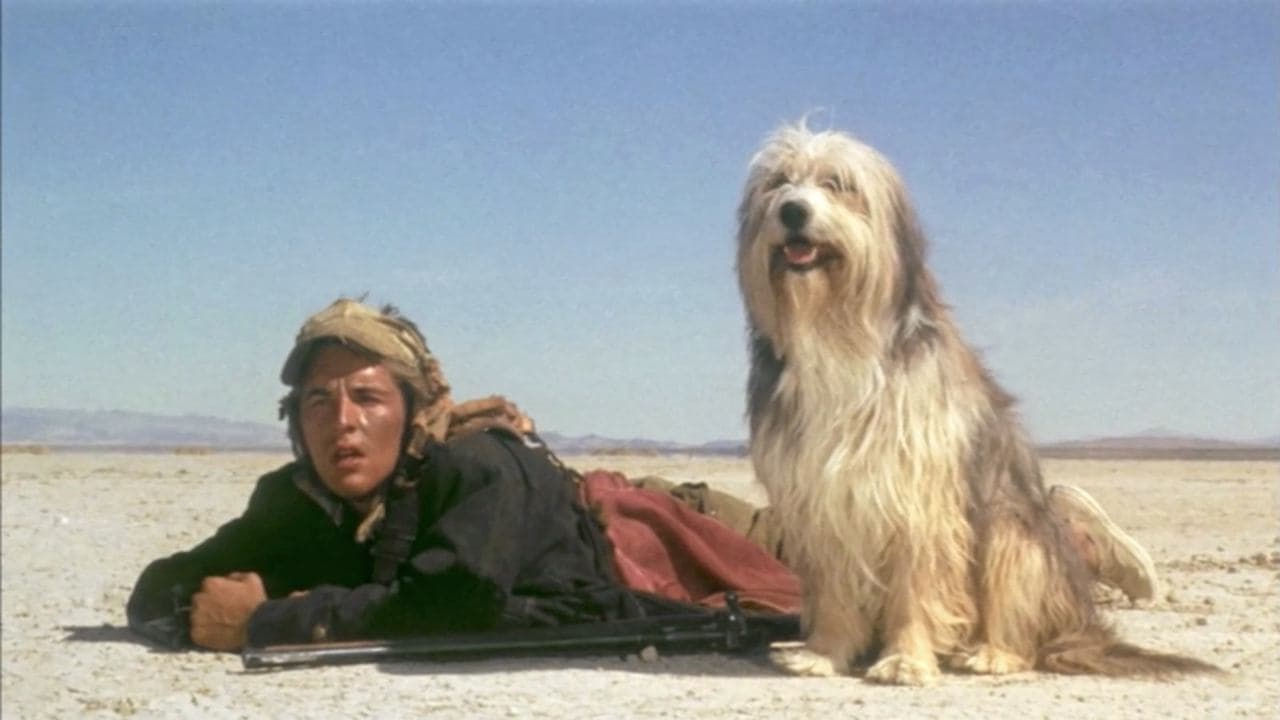 O Menino e seu Cachorro