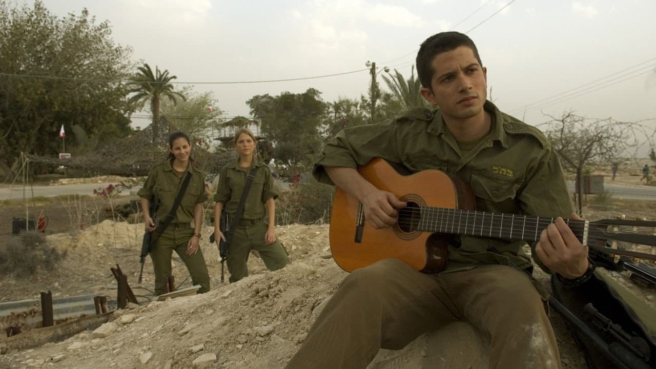 חסר מנוחה